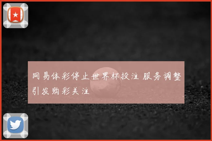 网易体彩停止世界杯投注 服务调整引发购彩关注