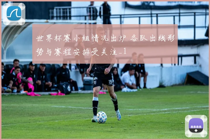 世界杯赛小组情况出炉 各队出线形势与赛程安排受关注_1